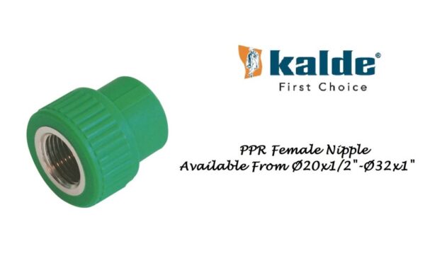 SOCKET Female Thd. PPRC Kalde Turkey (PN-25)